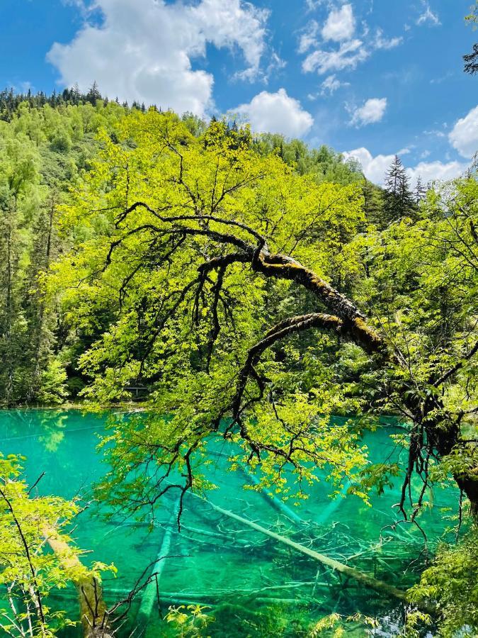 Jiuzhai Morning Hotel Jiuzhaigou Zewnętrze zdjęcie